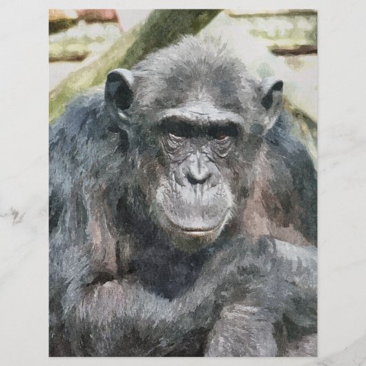 CHIMPANZEES FLYER (Vorne)