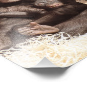 CHIMPANZEES FOTODRUCK (Ecke)