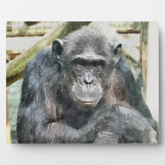 CHIMPANZEES FOTOPLATTE (Vorderseite)