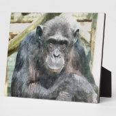 CHIMPANZEES FOTOPLATTE (Seite)