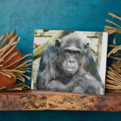 CHIMPANZEES FOTOPLATTE (Seite)