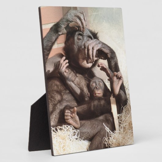 CHIMPANZEES FOTOPLATTE (Seite)