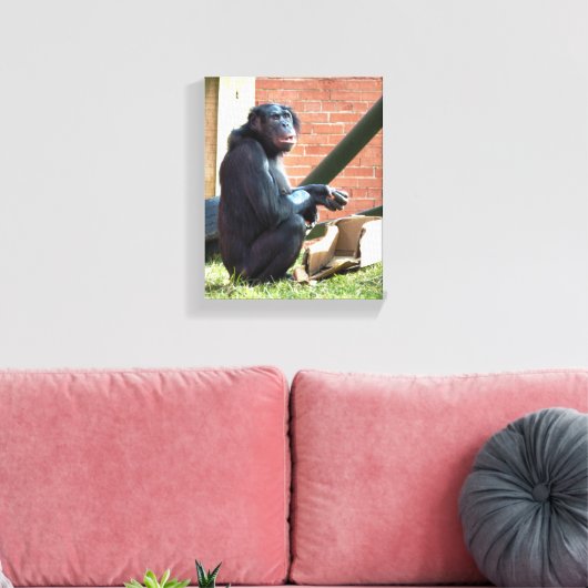 CHIMPANZEES LEINWANDDRUCK (Insitu (Wohnzimmer))
