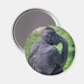 CHIMPANZEES MAGNET (Vorderseite/Rückseite)