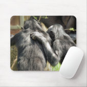 CHIMPANZEES MOUSEPAD (Mit Mouse)