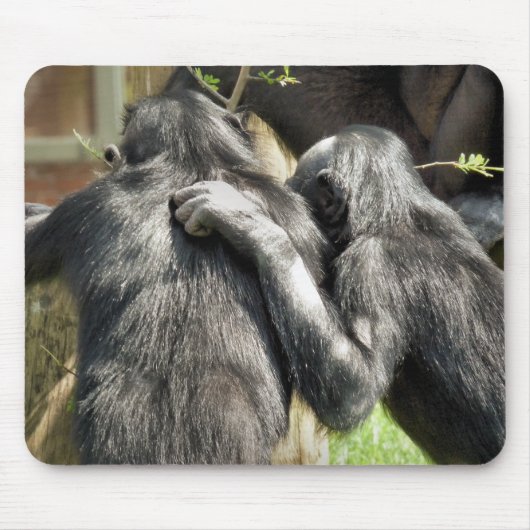 CHIMPANZEES MOUSEPAD (Vorne)