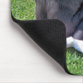 CHIMPANZEES MOUSEPAD (Ecke)