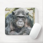 CHIMPANZEES MOUSEPAD (Mit Mouse)