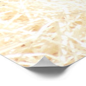 CHIMPANZEES POSTER (Ecke)