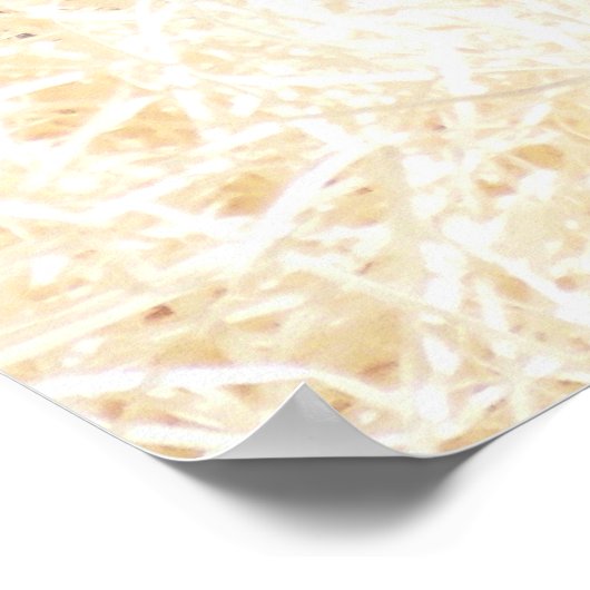 CHIMPANZEES POSTER (Ecke)