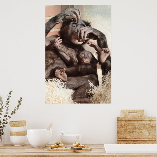 CHIMPANZEES POSTER (Küche)