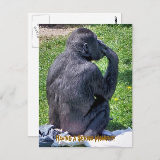 CHIMPANZEES POSTKARTE (Vorne/Hinten)