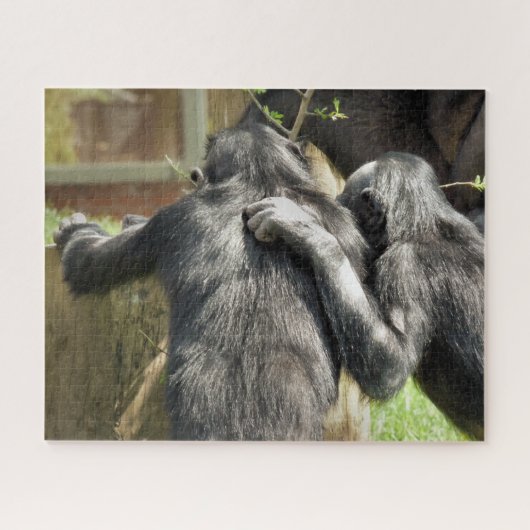 CHIMPANZEES PUZZLE (Horizontal)