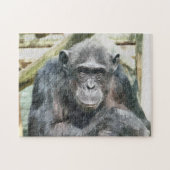 CHIMPANZEES PUZZLE (Horizontal)