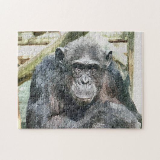 CHIMPANZEES PUZZLE (Horizontal)