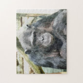 CHIMPANZEES PUZZLE (Vertikal)