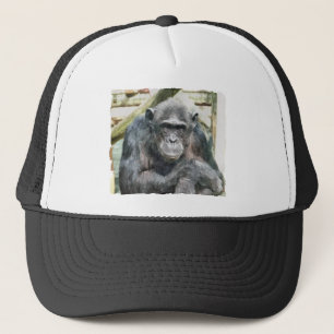CHIMPANZEES TRUCKERKAPPE