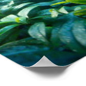 CHIMPANZEI 2 POSTER (Ecke)