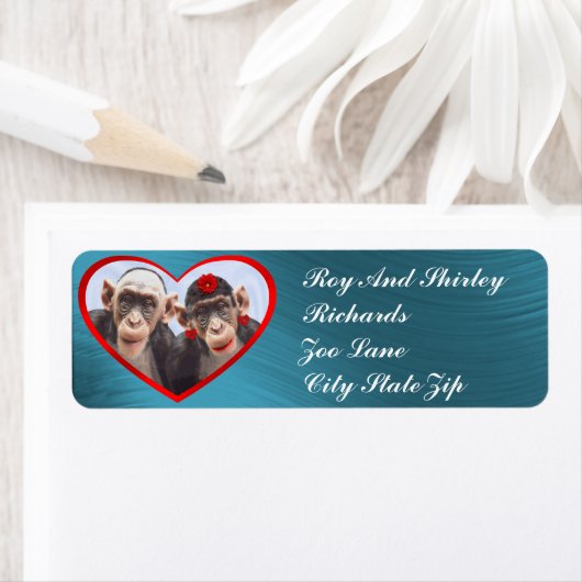 CHIMPS - RÜCKSENDEADRESSEN-AUFKLEBER (Insitu)