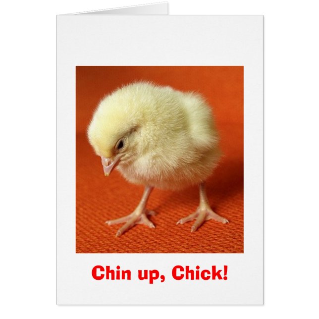 Chin up, Chick! (Vorne)