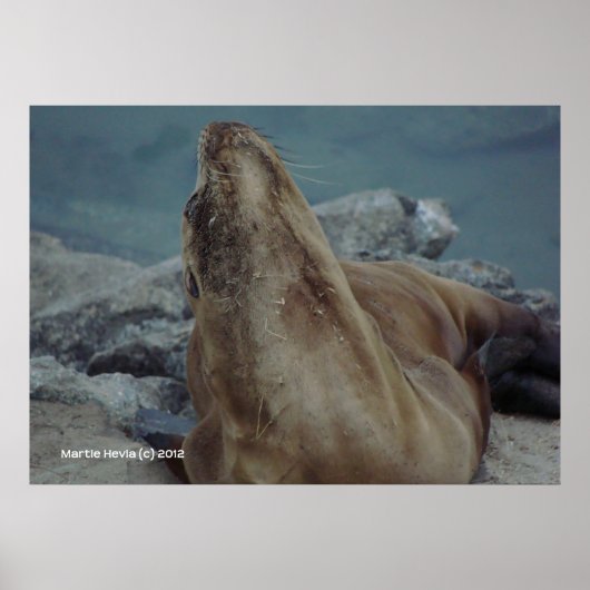 Chin Up Poster (Vorne)