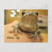 Chin up! postkarte (Vorderseite)