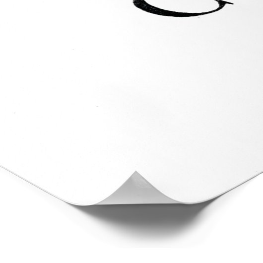 China Aster Poster (Ecke)