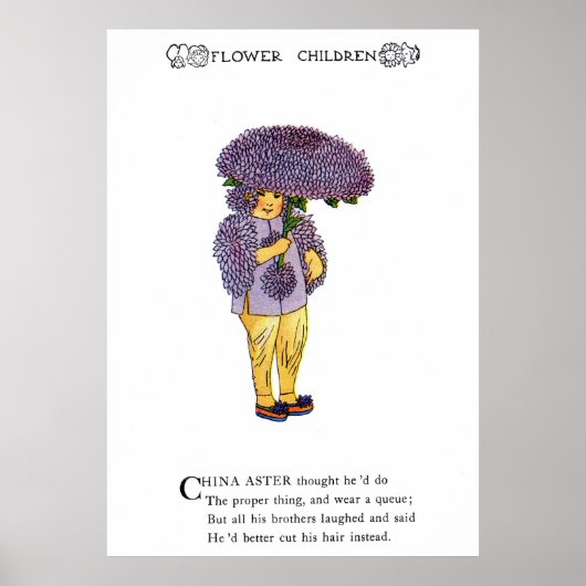 China Aster Poster (Vorne)