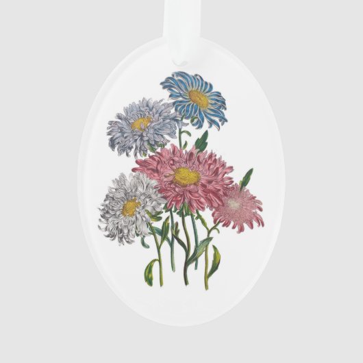 China Asters Ornament (Rückseite)