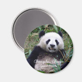 China, Chengdu, Giant Panda (Magnet) Magnet (Vorderseite/Rückseite)