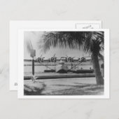 China Clipper Festmachen auf Hawaiianinsel Postkarte (Vorne/Hinten)