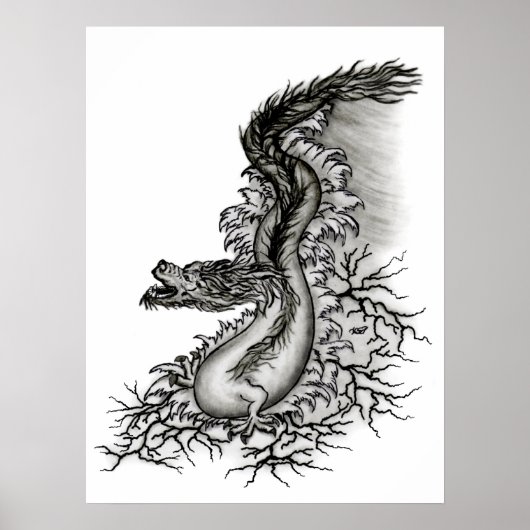 China-Drache Poster (Vorne)