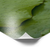 China, Hongkong, neue Gebiete. Chi Lin Fotodruck (Ecke)