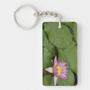 China, Hongkong, neue Gebiete. Chi Lin Schlüsselanhänger