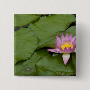 China, Hongkong, New Territories. Chi Lin Button