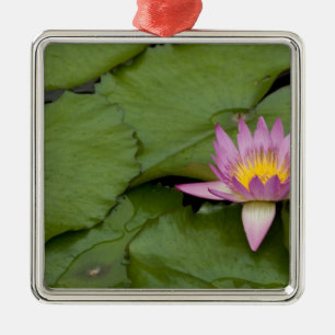 China, Hongkong, New Territories. Chi Lin Silbernes Ornament