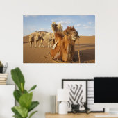 China, Inner Mongolia, Badain Jaran Desert 2 Poster (Heimbüro)