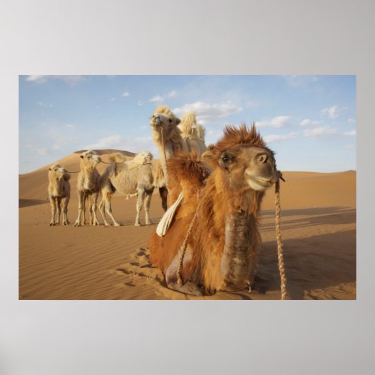 China, Inner Mongolia, Badain Jaran Desert 2 Poster (Vorne)