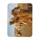 China, Innere Mongolei, Badain Jaran-Wüste 2 Magnet (Vertikal)