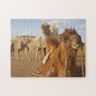 China, Innere Mongolei, Badain Jaran-Wüste 2 Puzzle