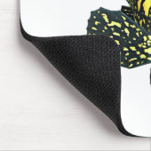 China-Klippenbarsch Mousepad (Ecke)