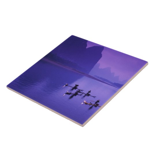 China, Li River. Kormorane Fliese (Seite)