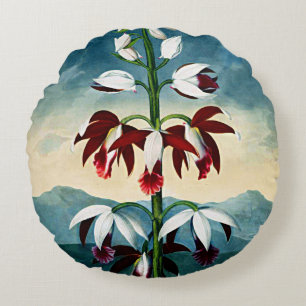 China Limodoron Cushions Botanical Blooms Rundes Kissen