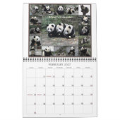 China-Panda-Abenteuer - Kalender 2012 (Feb 2027)
