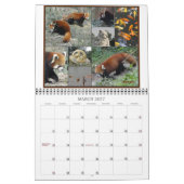 China-Panda-Abenteuer - Kalender 2012 (Mär 2027)