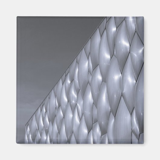 China, Peking. National Aquatics Centre Magnet (Vorne)