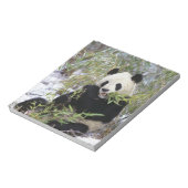 China, Provinz Sichuan. Giant Panda füttre auf Notizblock (Rotiert)