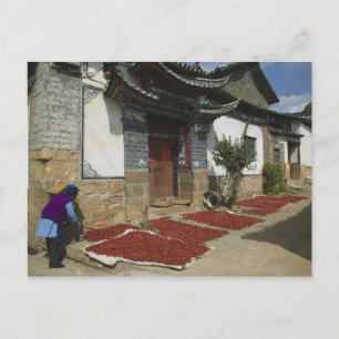 CHINA, Provinz Yunnan, Tianshengying. Trocknen Postkarte
