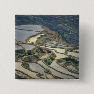 China, Provinz Yunnan. Überschwemmte Reisterrassen Button