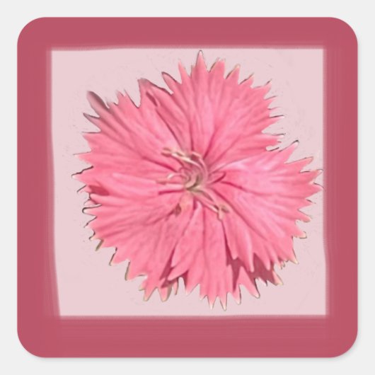 China Rosa Aufkleber (Vorderseite)